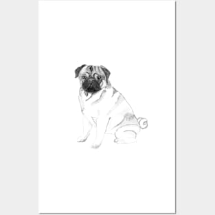 PUG Posters and Art